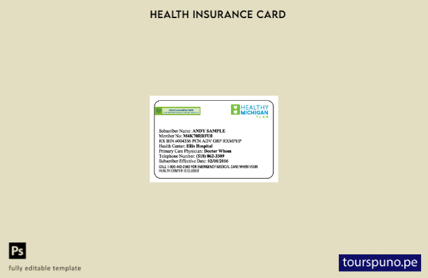 Plantilla de tarjeta de seguro médico de Michigan lista para imprimir